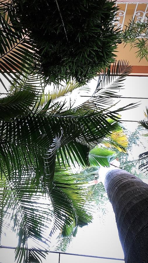 Hotel Tierra Del Sol オアハカ州 エクステリア 写真