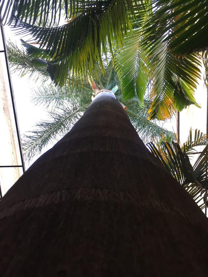 Hotel Tierra Del Sol オアハカ州 エクステリア 写真