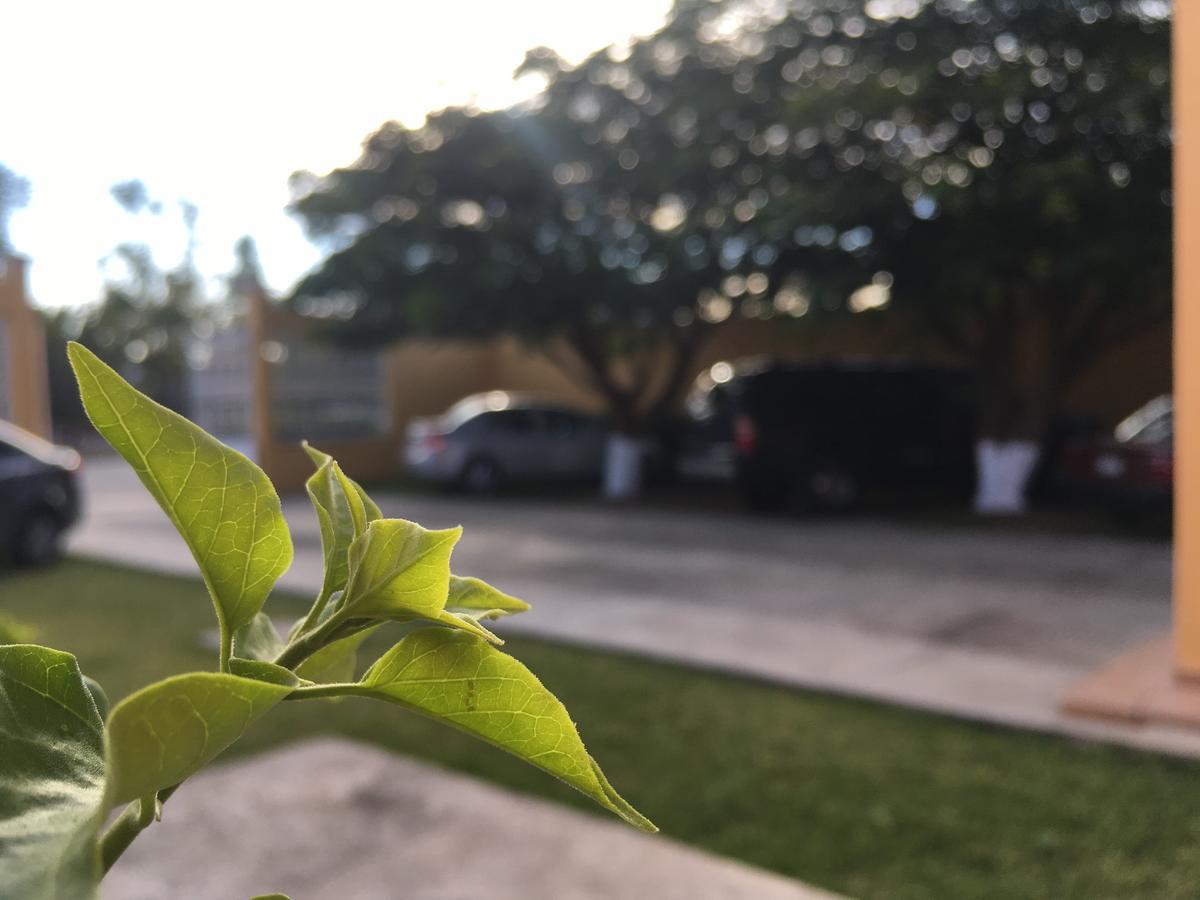 Hotel Tierra Del Sol オアハカ州 エクステリア 写真